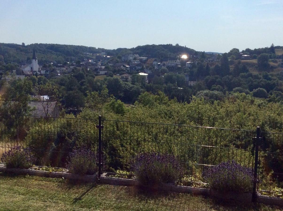 Ferienwohnung Hoehenweg 25 Nettersheim Esterno foto